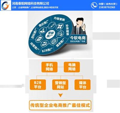 春阳网络图 网站建设意义的深度解读与网络咨询服务价值